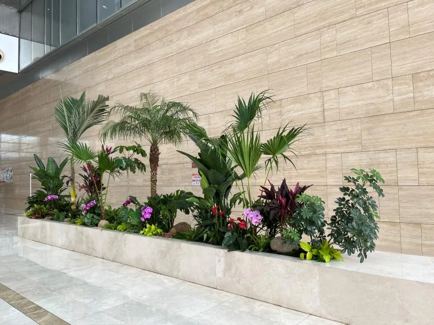 慈溪绿植出租，价格亲民实惠，为您打造清新办公环境